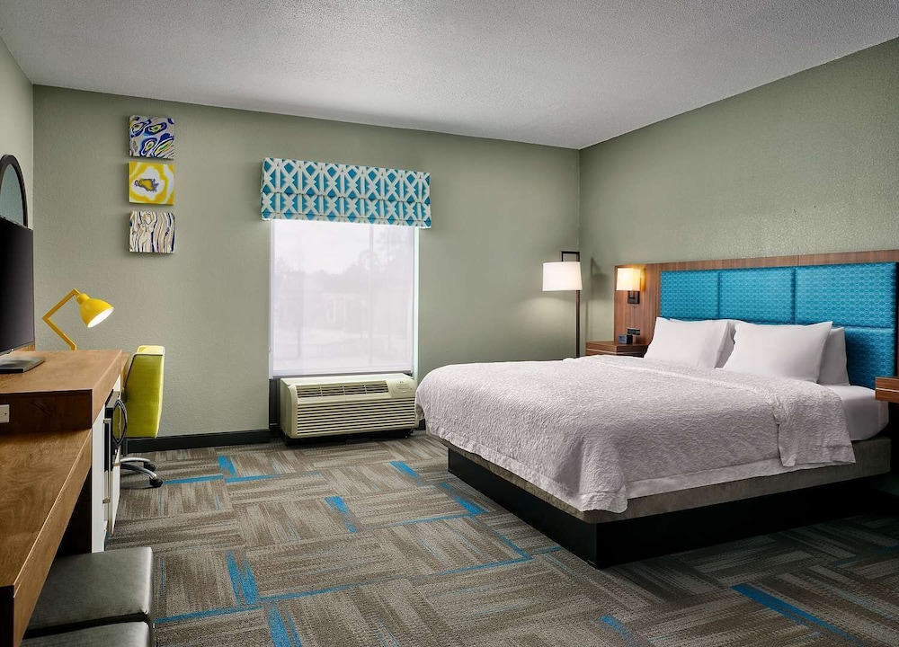 Room, 1 King Bed with Sofa bed