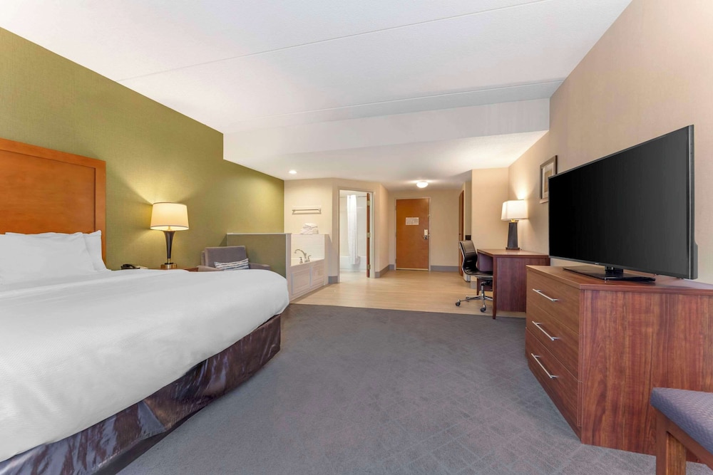 Deluxe Room, 1 King Bed, Non Smoking, Hot Tub - Photo 3