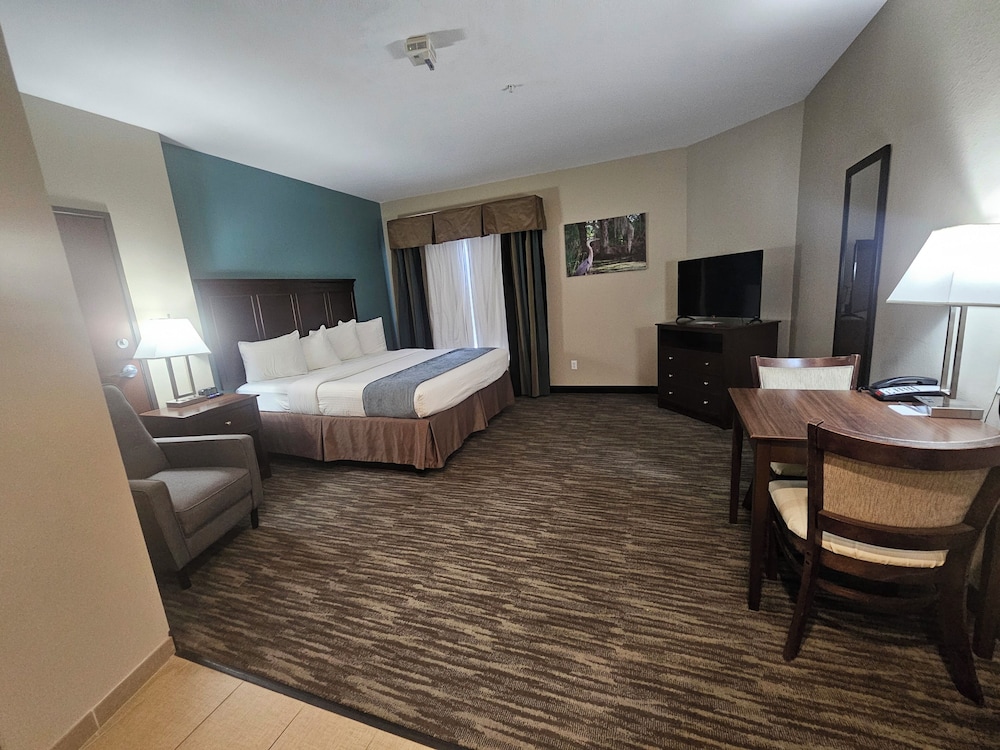 Suite, 1 King Bed photo 1