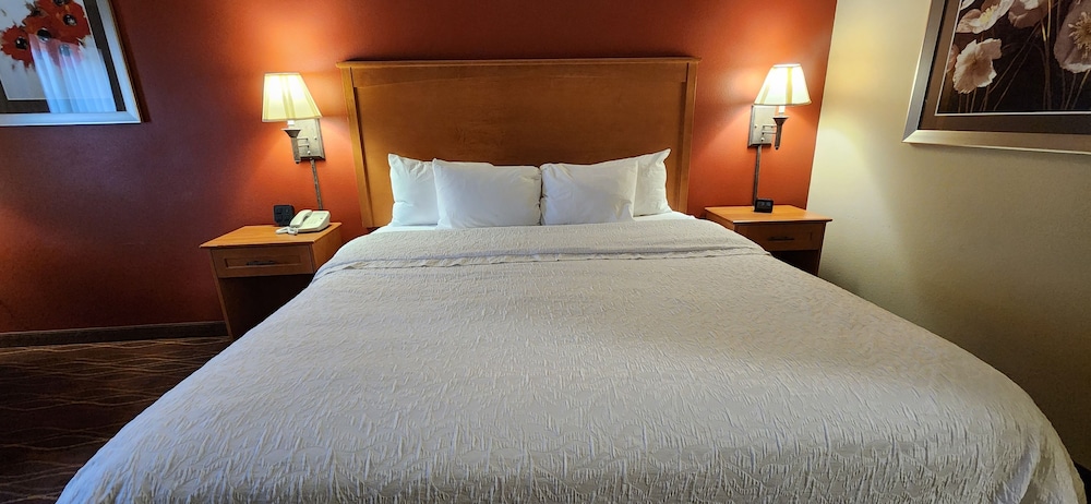 1 King Bed Study with Sofabed - Photo 1