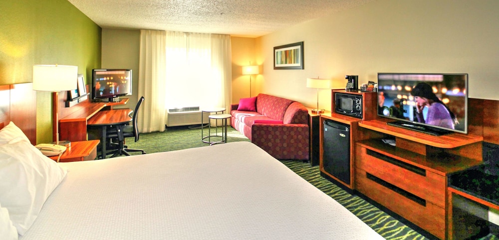Room, 1 King Bed with Sofa bed photo 2