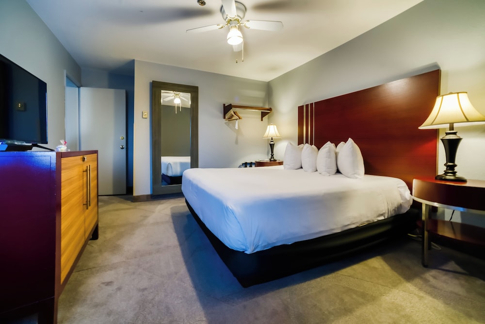 Family Suite, Multiple Beds photo 3