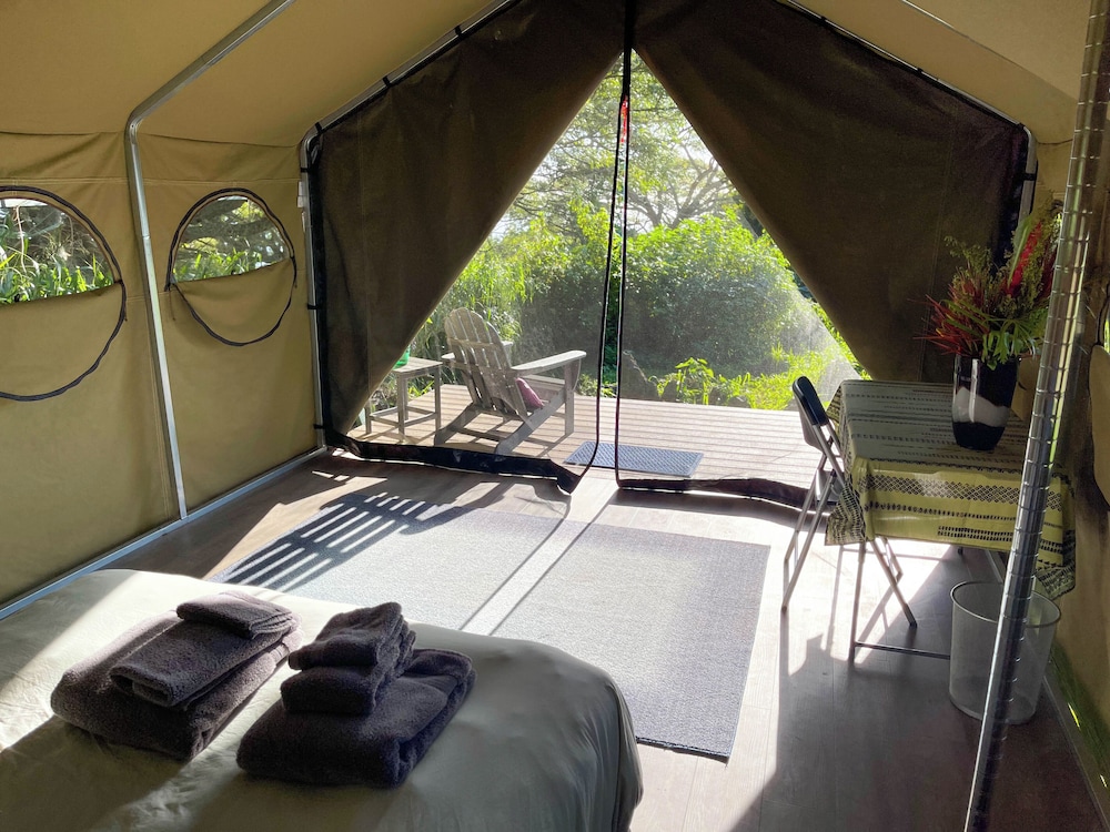 Monkeypod Canopy photo 3