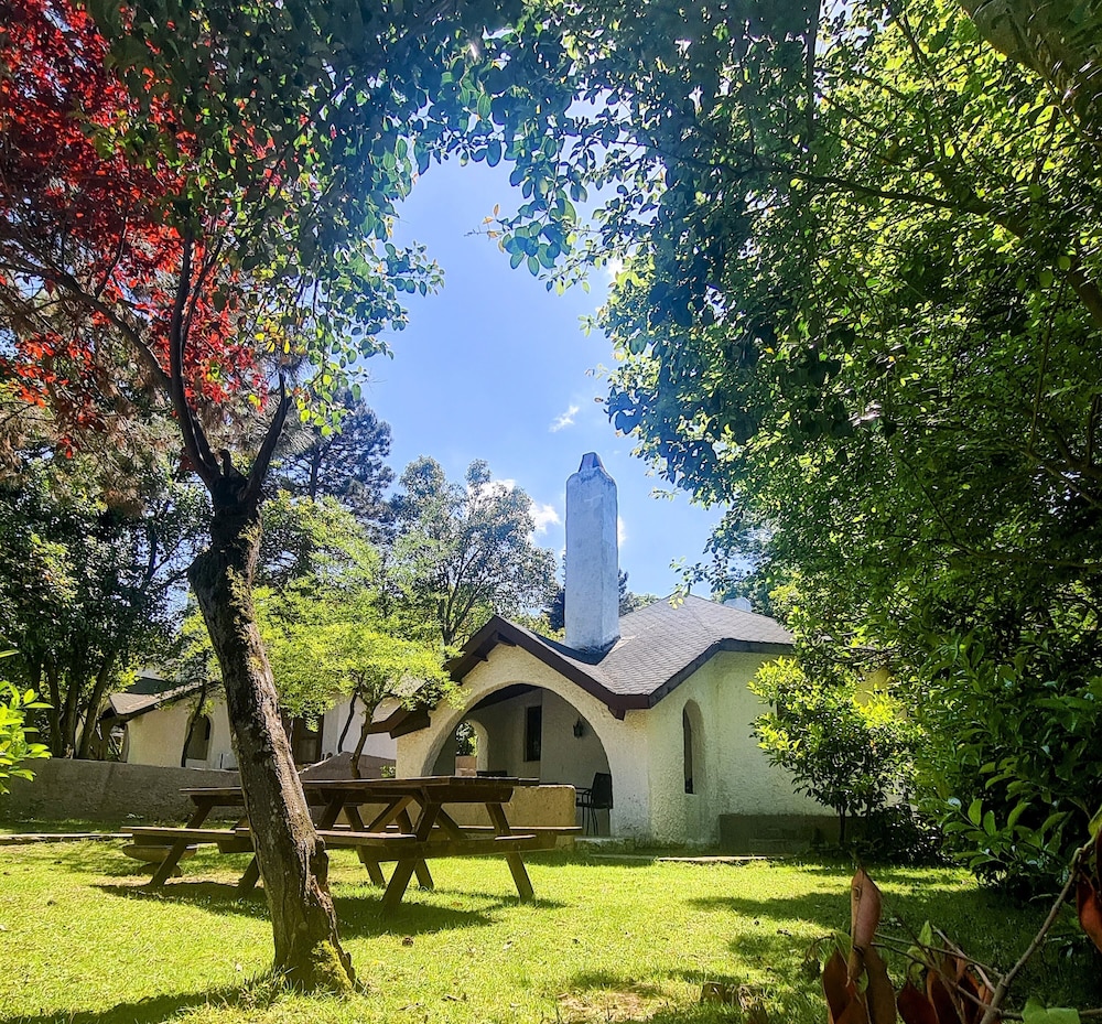 Family Villa photo 1