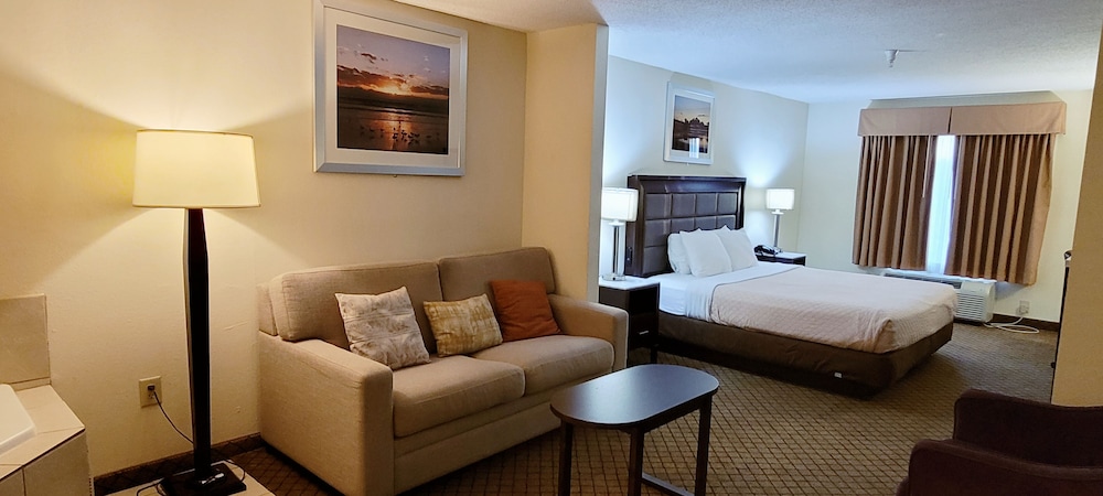 Room, 1 King Bed with Sofa bed