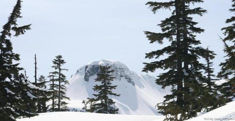 Condo, 2 Bedrooms photo 2