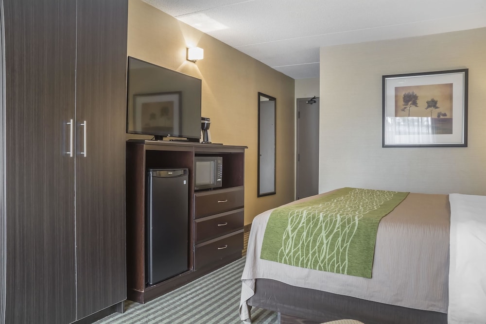 Room, 1 King Bed with Sofa bed, Accessible, Non Smoking - Photo 1