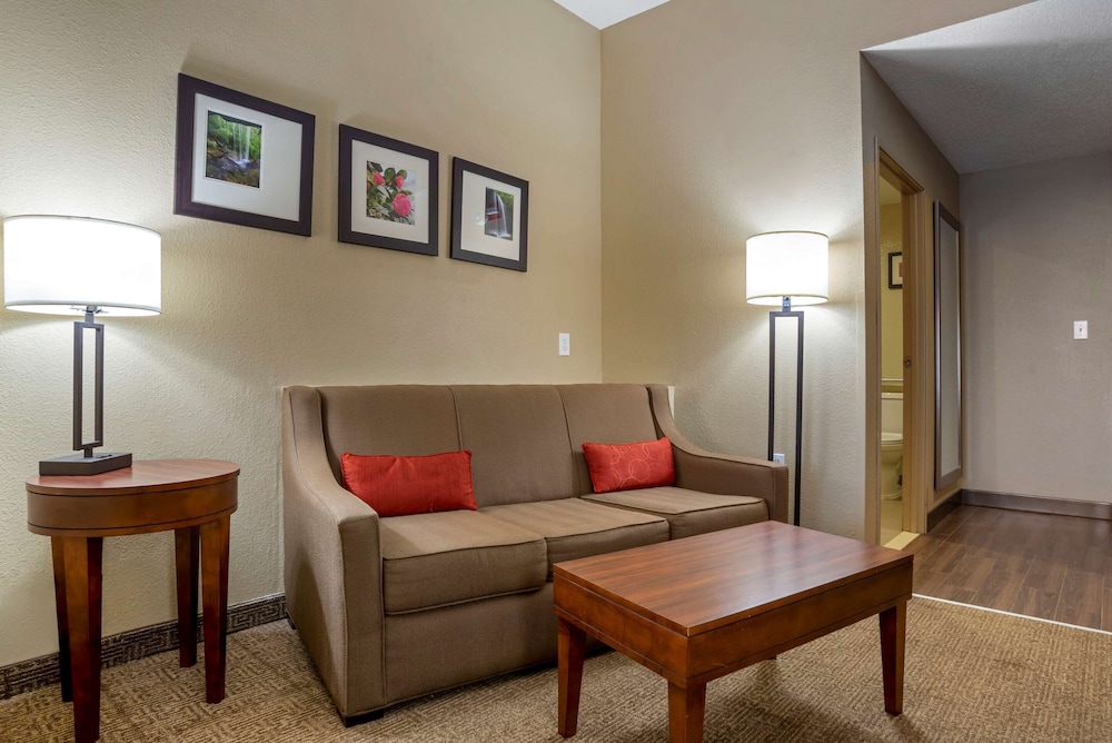 Suite, Multiple Beds, Accessible, Non Smoking - Photo 2