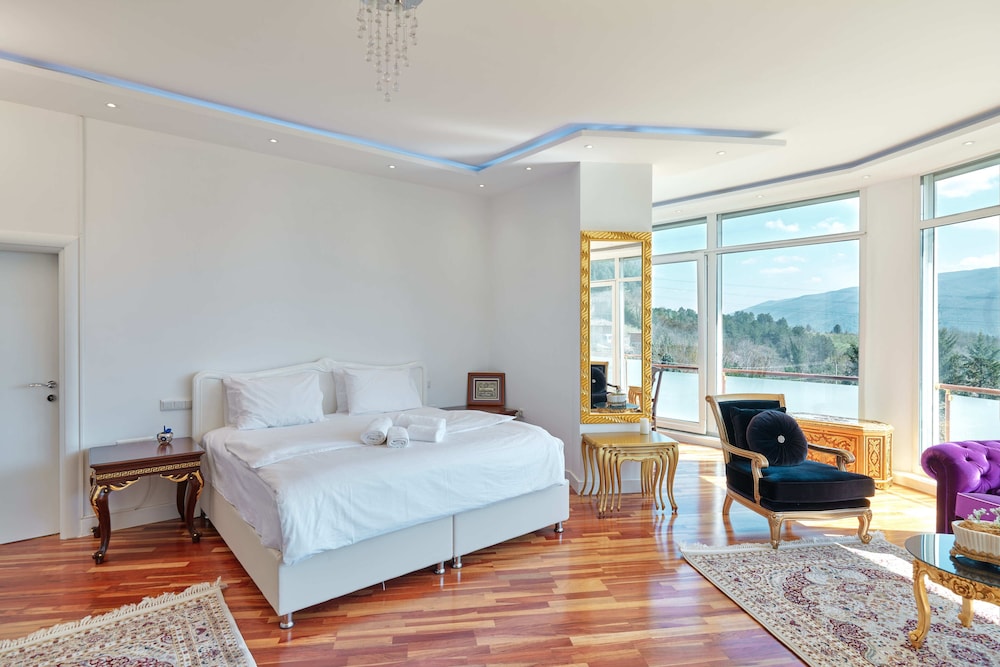 Deluxe Studio Suite, 1 King Bed with Sofa bed, Mountain View photo 3