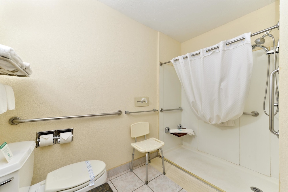 Standard Room, 1 King Bed, Accessible, Non Smoking - Photo 4