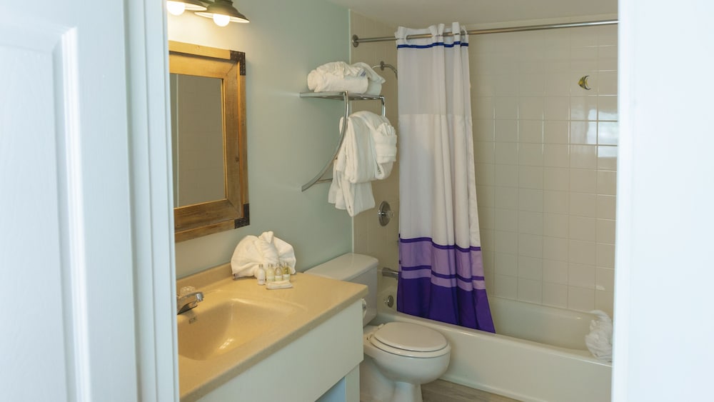 Suite, 1 Bedroom - Photo 8