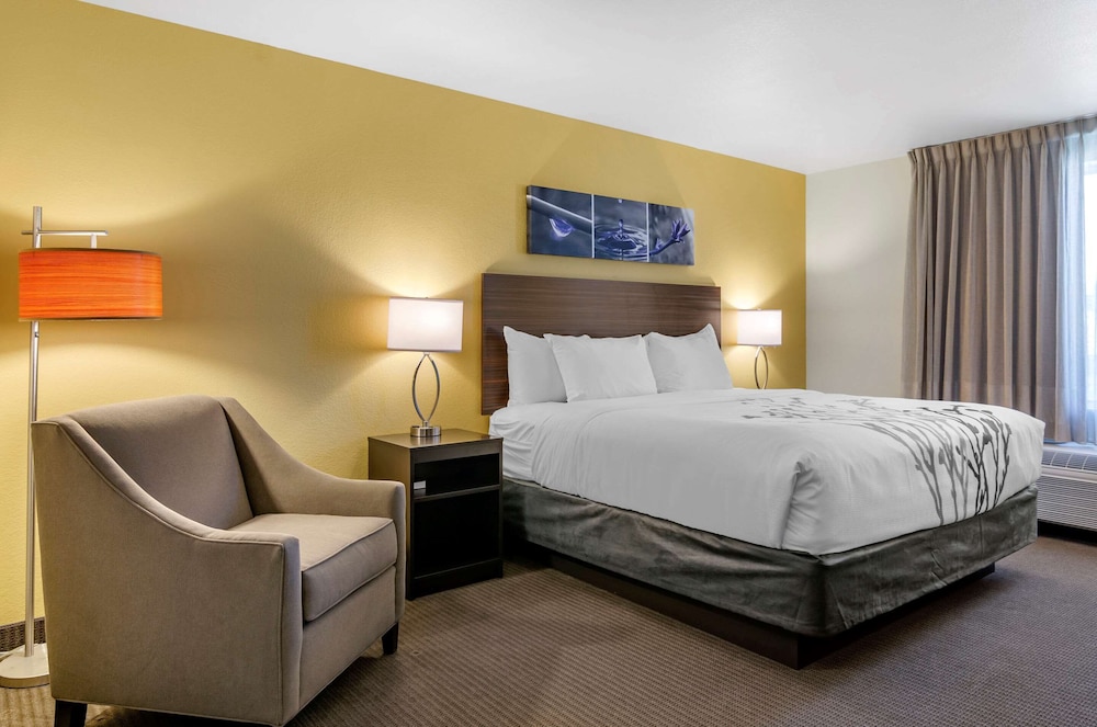 Standard Room, 1 King Bed, Accessible, Non Smoking (Roll-In Shower) - Photo 1
