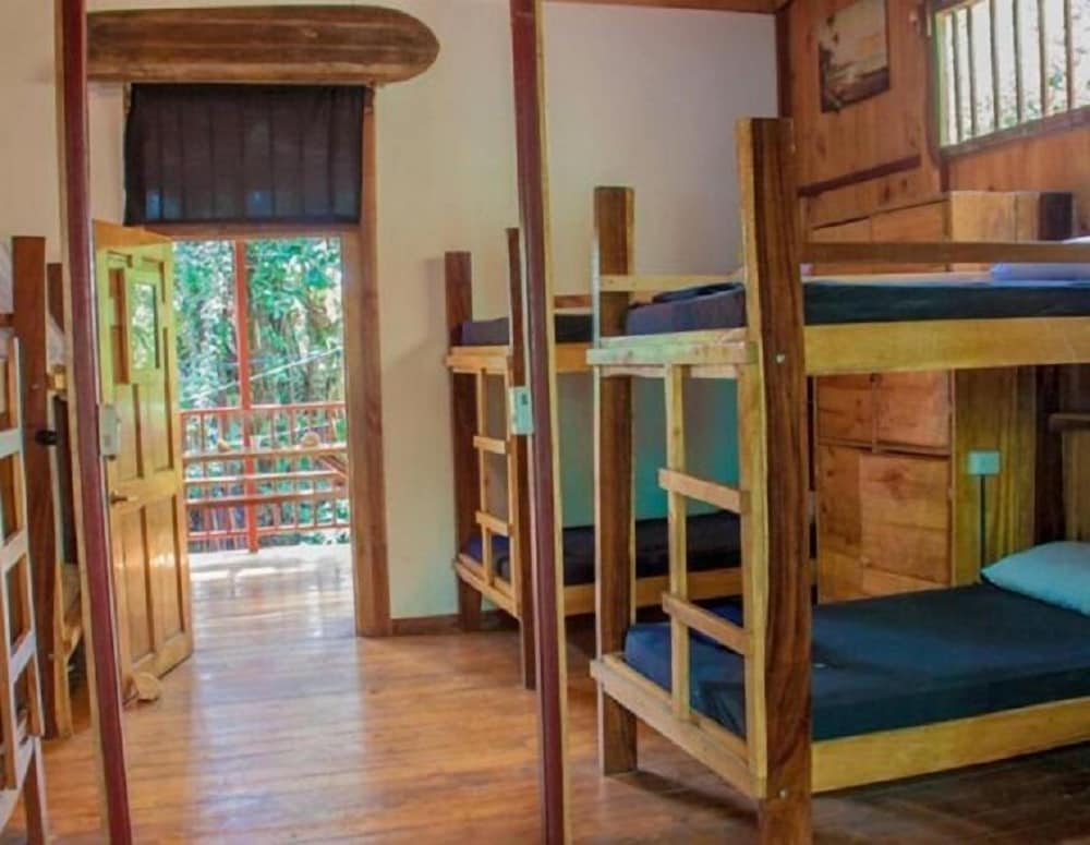 Economy Shared Dormitory