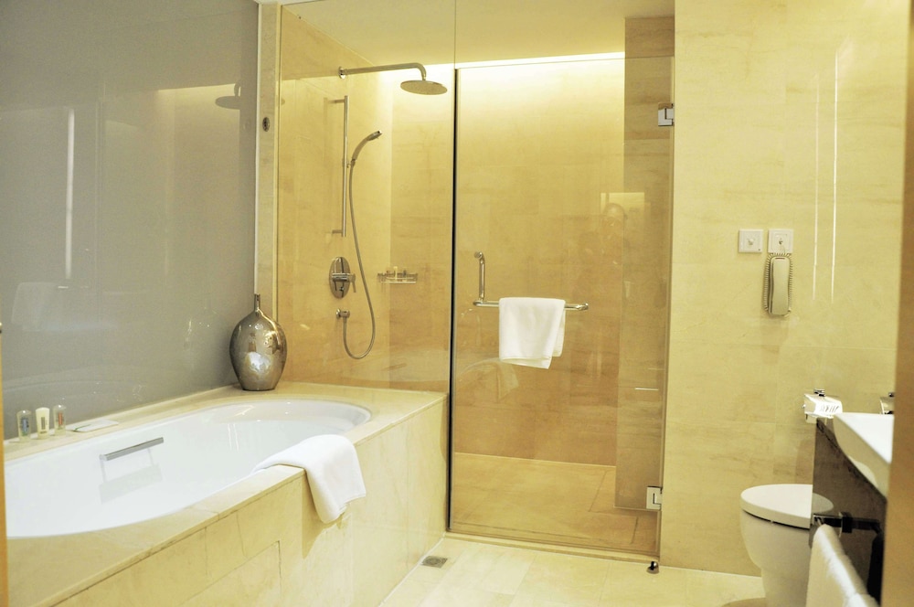 Suite (Lounge) photo 3