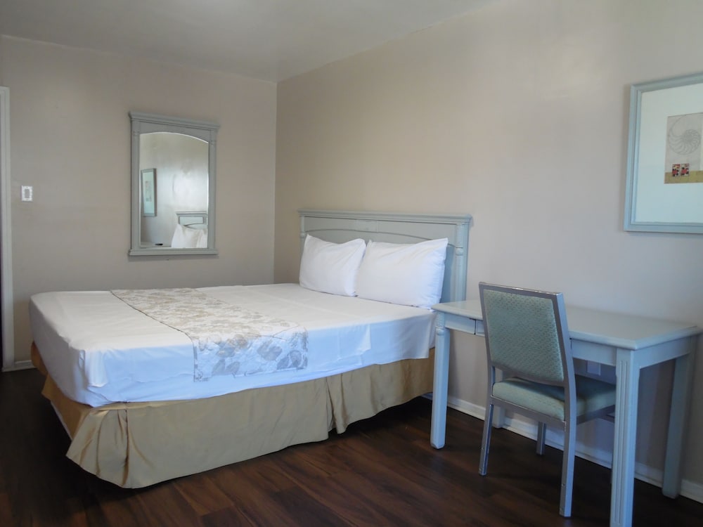Comfort Single Room photo 3