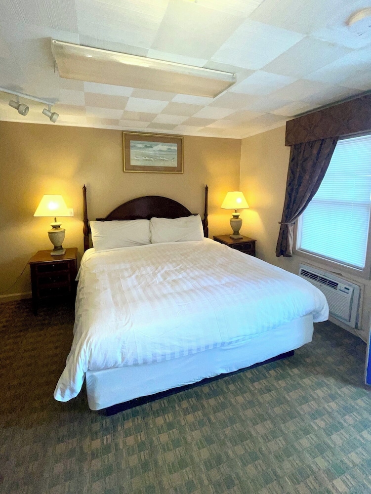 Single Room, 1 King Bed, Non Smoking photo 3