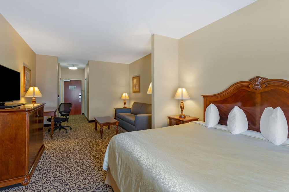 Suite, 1 King Bed with Sofa bed, Non Smoking, Refrigerator & Microwave (with Sofabed)