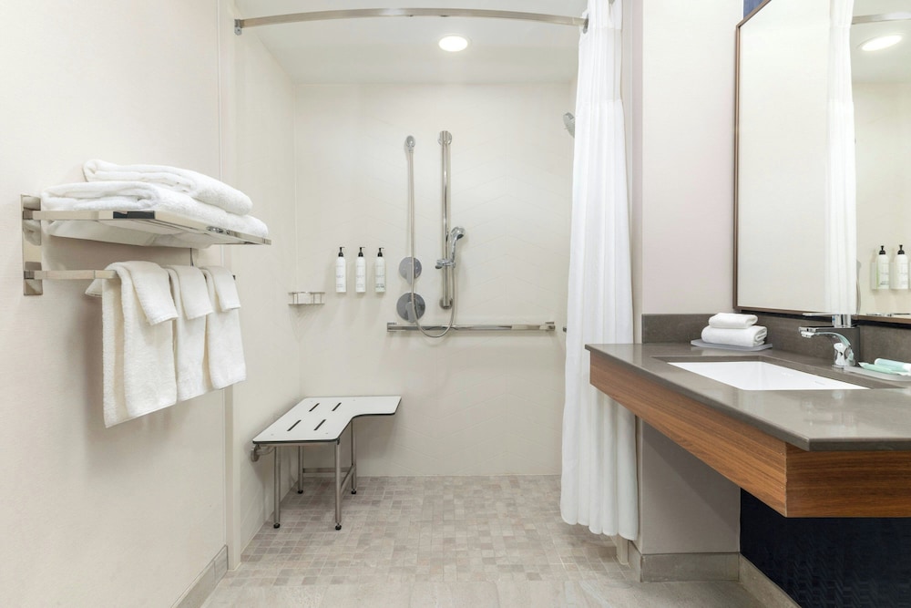 Studio, 1 King Bed (Mobility Accessible, Roll-in Shower) - Photo 5
