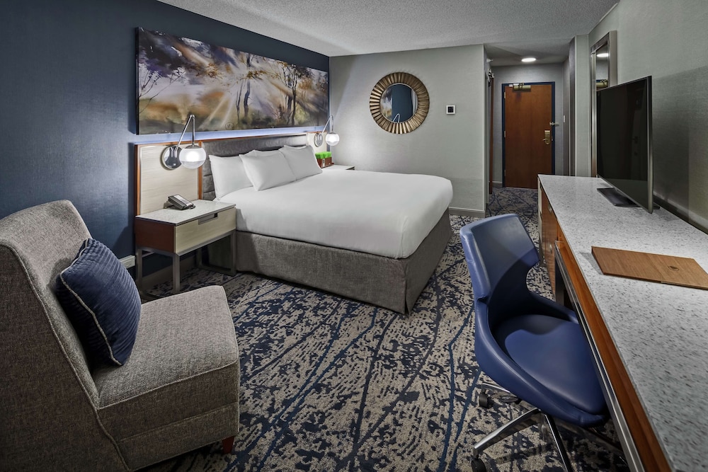 Room, 1 King Bed with Sofa bed (Larger)