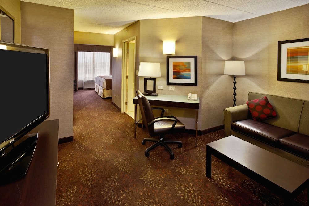 Suite, 1 King Bed, Roll-in Shower, Non Smoking (Communications Accessible) photo 1