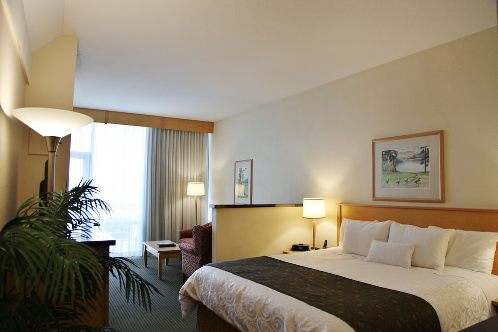 Executive Room, 1 King Bed, Balcony, Tower (with Sofabed) - Photo 2