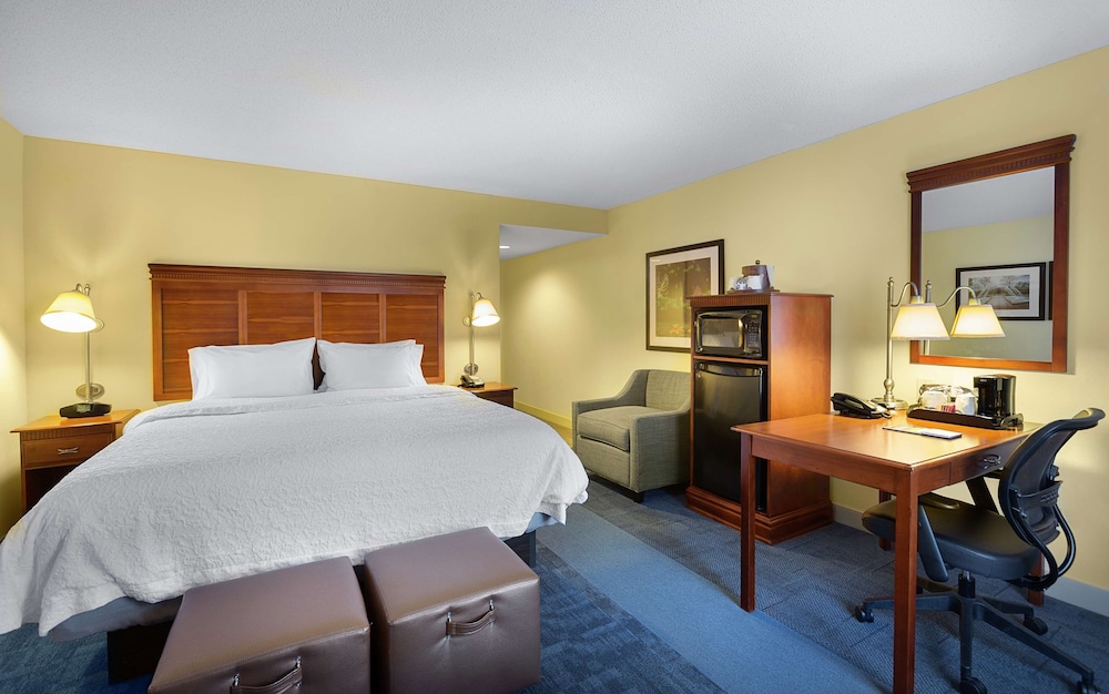 Room, 1 King Bed, Accessible, Non Smoking - Photo 4
