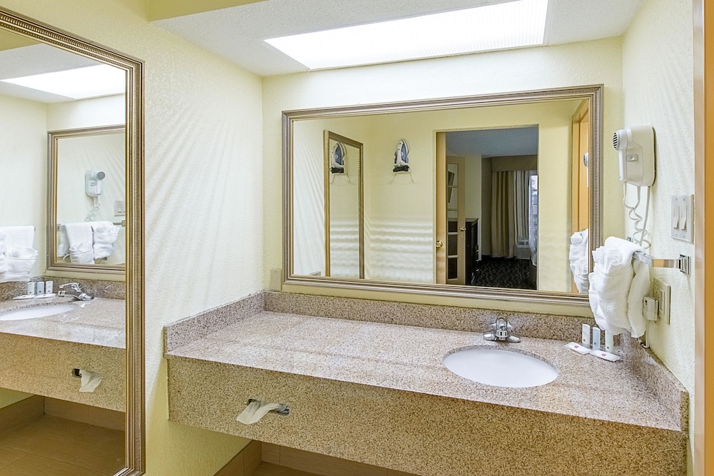 Room, 1 King Bed, Non Smoking (Wet Bar) - Photo 4