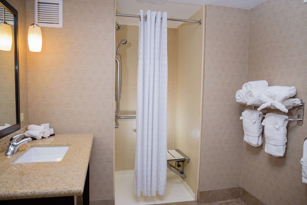 Suite, One King Bed, Roll In Shower - Photo 5