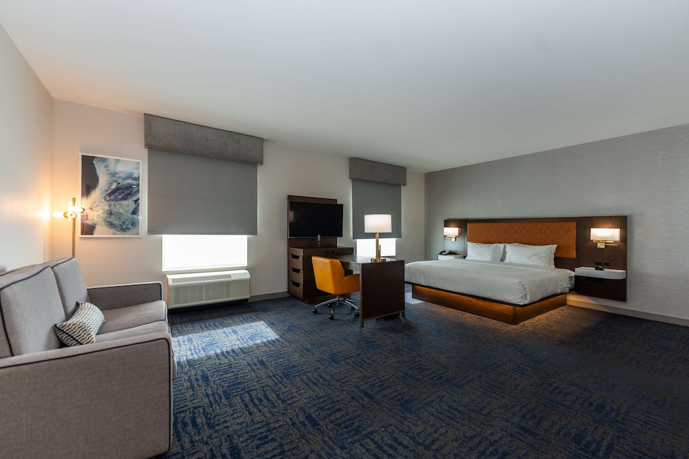 Suite, 1 King Bed, Accessible, Refrigerator & Microwave (Refrigerator & Microwave) - Photo 9