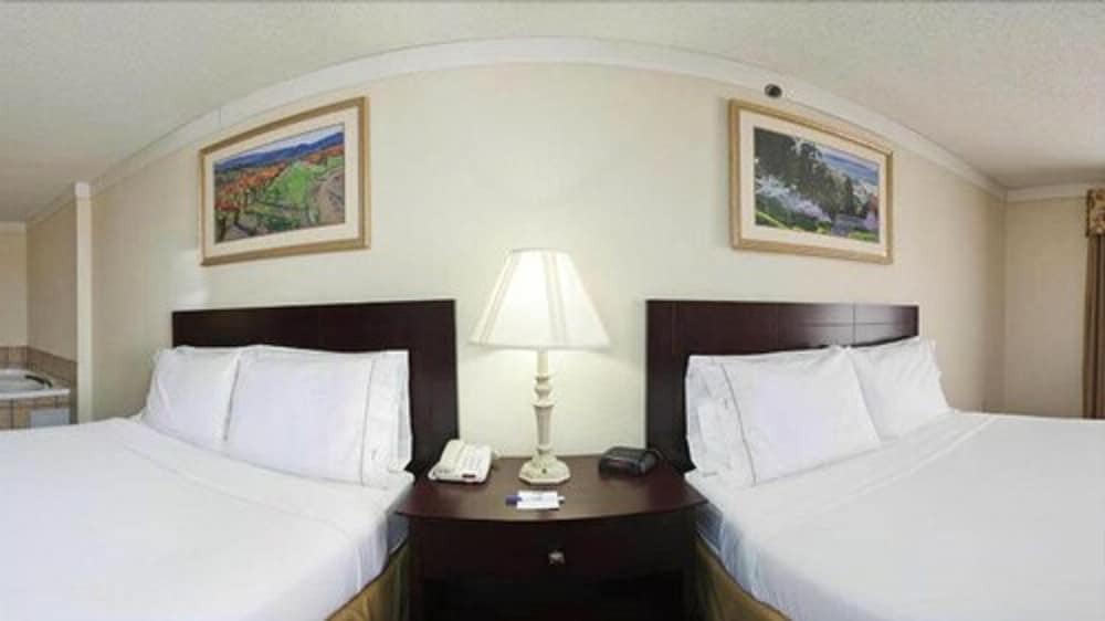 Suite, 1 King Bed with Sofa bed - Photo 3