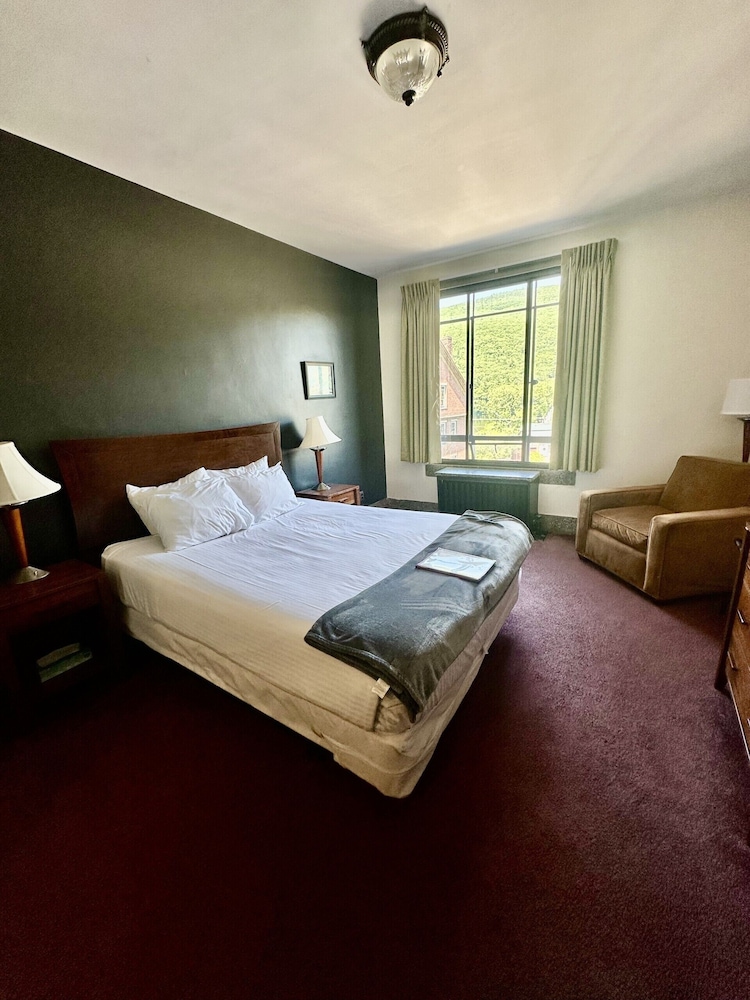 Standard Double Room, Accessible, Ensuite (Queen-Mountain View)