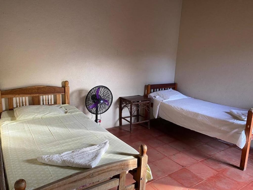 Room, 1 Bedroom, Garden View photo 1