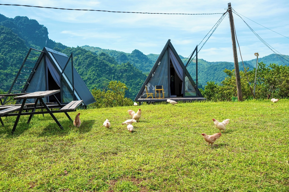 Honeymoon Cabin photo 2