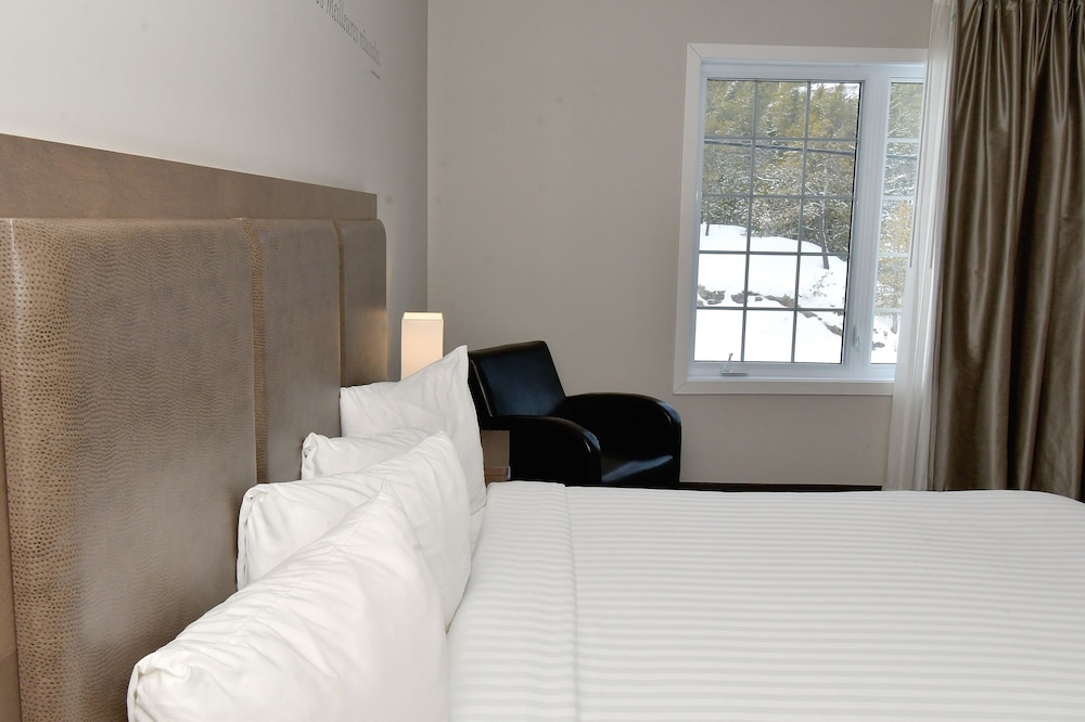 HOTEL - Economy Room, 1 Queen Bed, Courtyard View - Photo 3