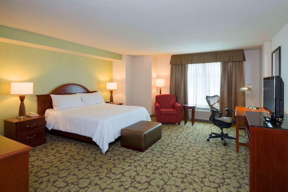 Room, 1 King Bed, Accessible (Mobility & Hearing, 3x3 Shower) - Photo 2