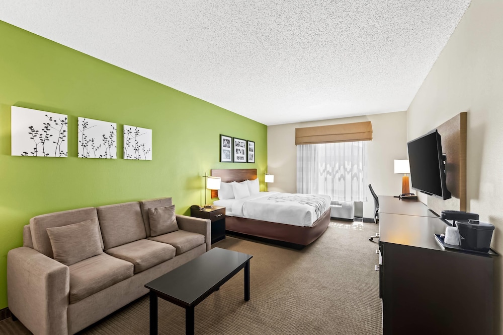 Suite, 1 King Bed with Sofa bed, Non Smoking - Photo 1