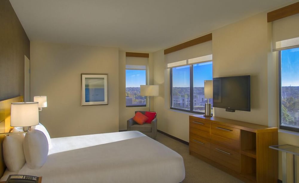 Suite, 1 King Bed photo 2