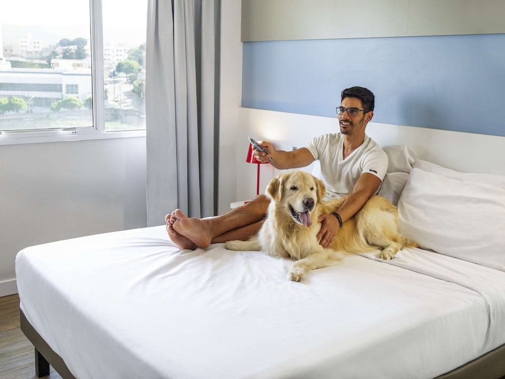 Superior Apartment, 1 Bedroom photo 2