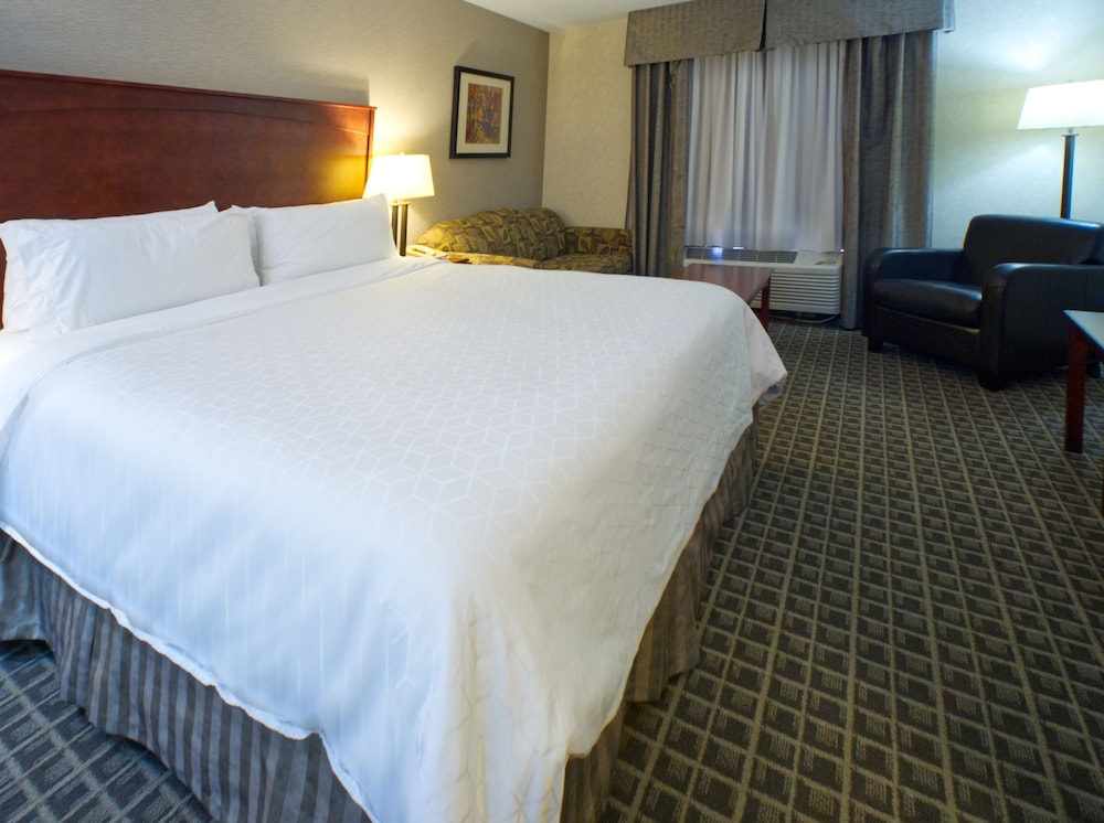 Standard Room, 1 King Bed, Accessible Bathtub (Mobility, Low Floor) - Photo 1