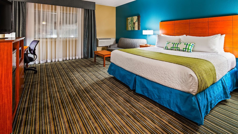 Standard Room, 1 King Bed, Accessible, Refrigerator & Microwave (with Sofabed) - Photo 3