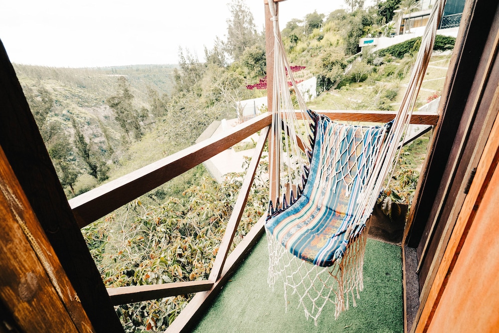 Tree House photo 3