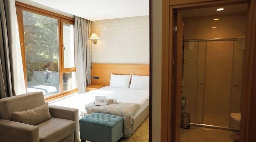 Deluxe Room photo 2