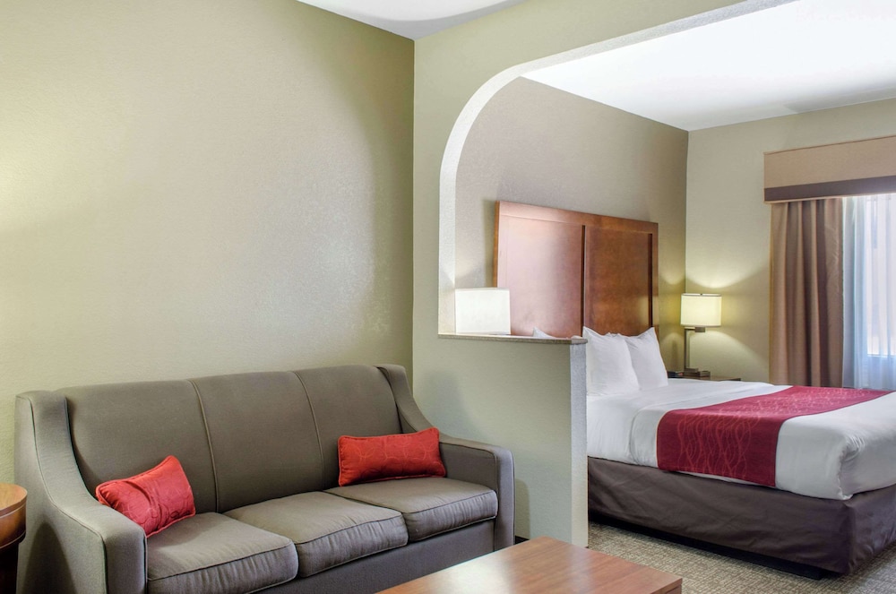 Suite, 1 King Bed, Non Smoking photo 1