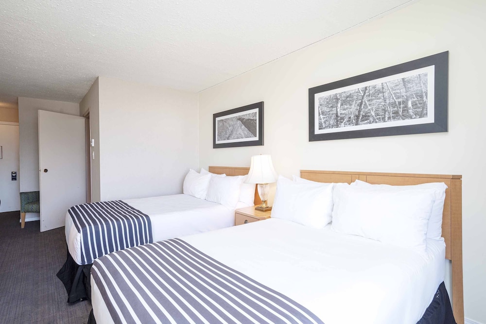 Standard Suite, 2 Double Beds, Kitchenette photo 2