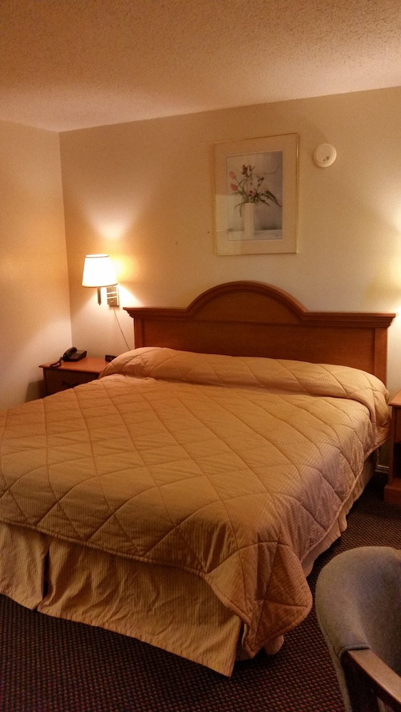 Traditional Room, 1 King Bed, Non Smoking photo 2