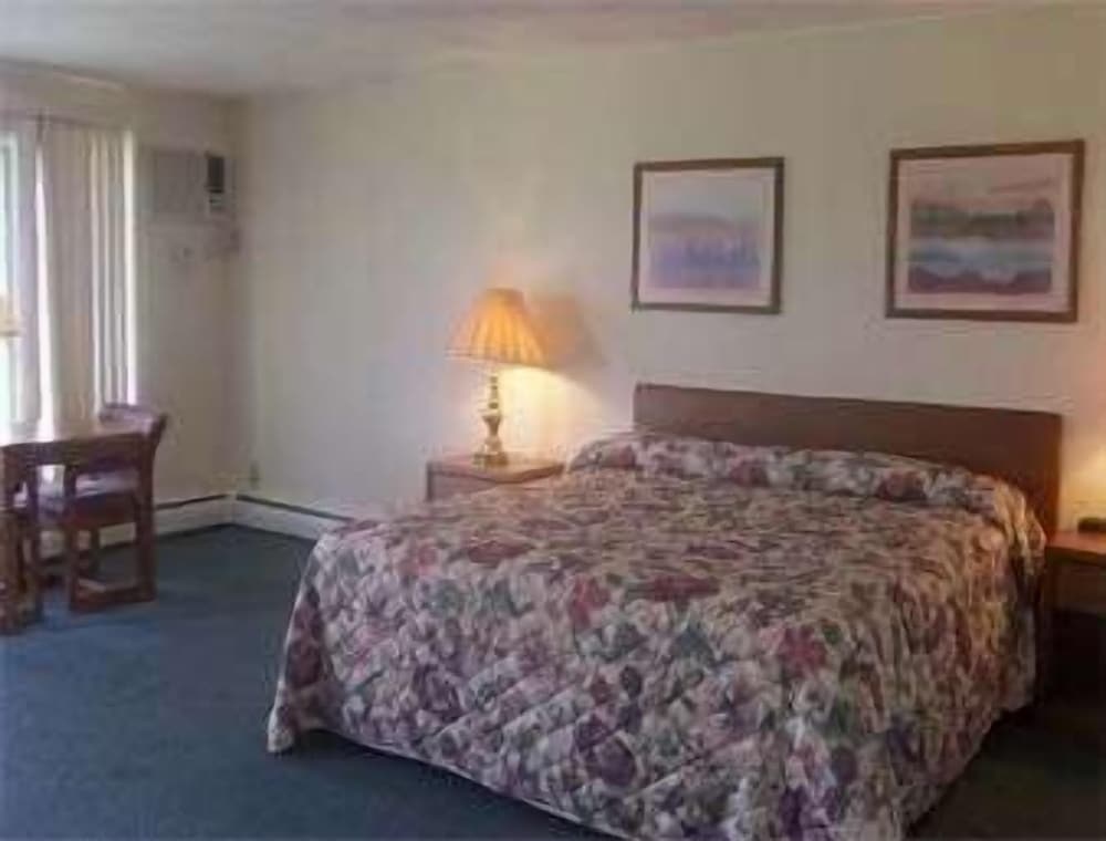 Room, 1 King Bed photo 3