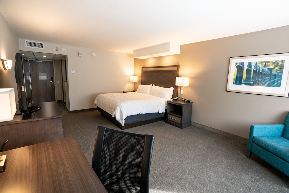 Standard Room, 1 King Bed, Accessible - Photo 4