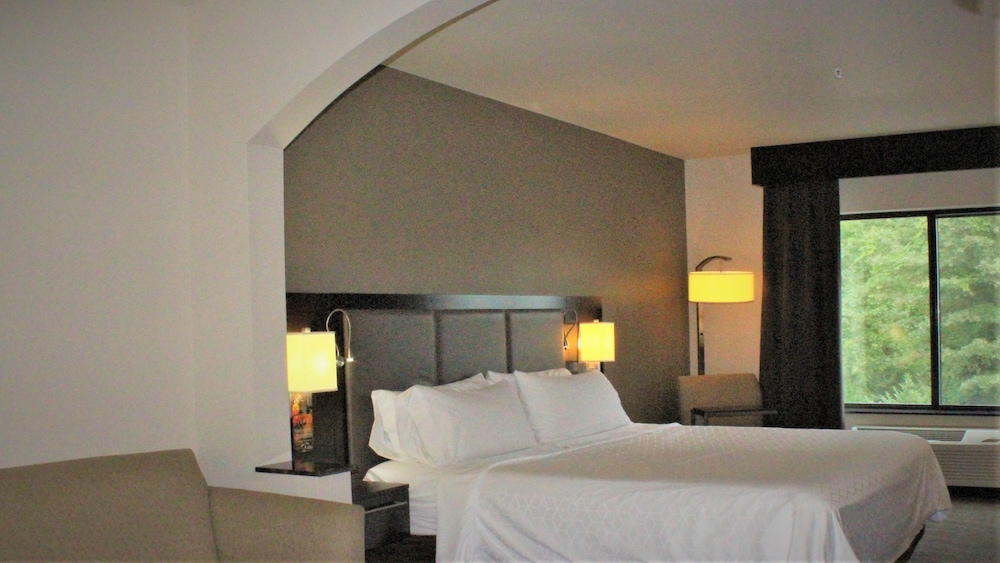 Suite, 1 King Bed (Additional Living Area) - Photo 6