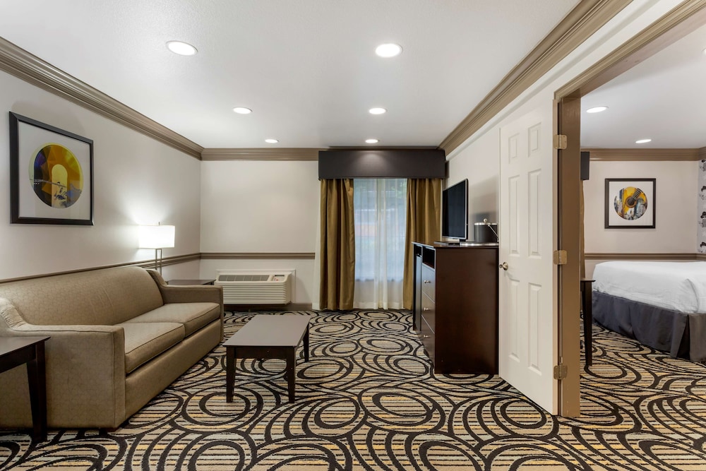 Suite, 1 Twin Bed, Accessible, Refrigerator & Microwave (With Sofabed) - Photo 3