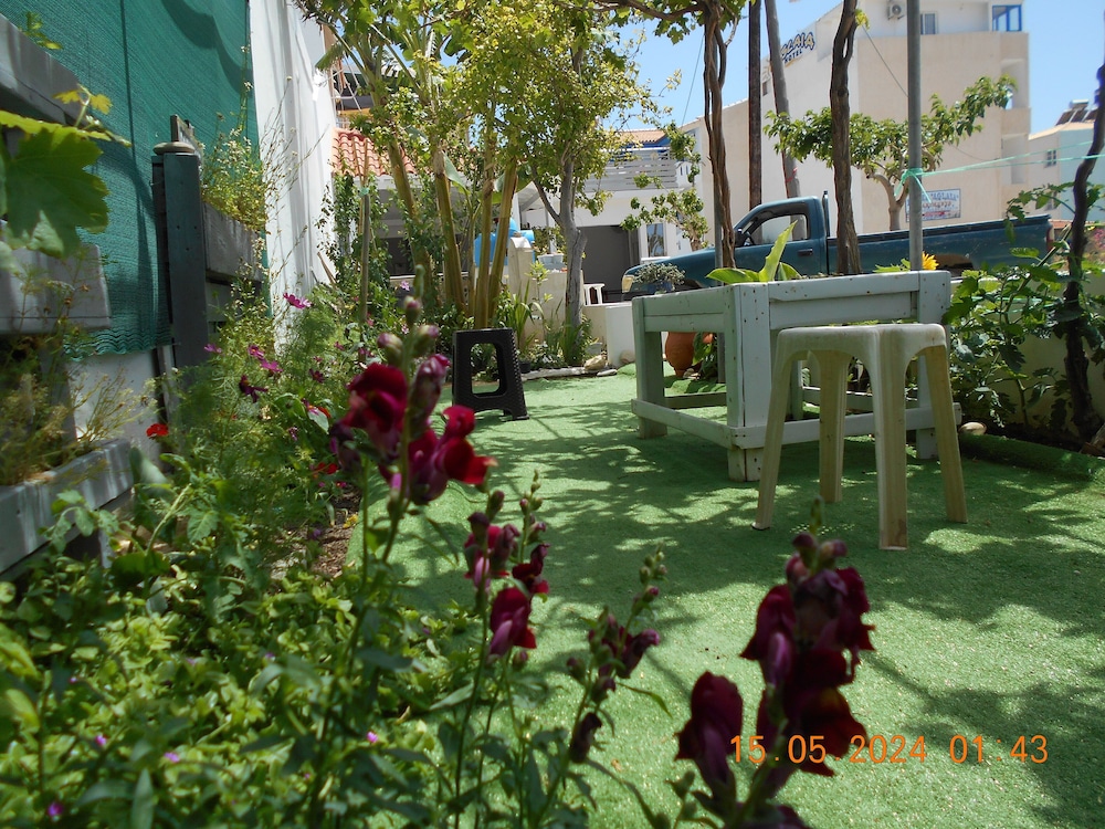 Superior Apartment, 1 Bedroom, Ocean View (Double) photo 3